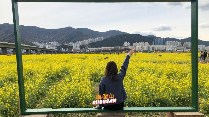 一個人去釜山安全