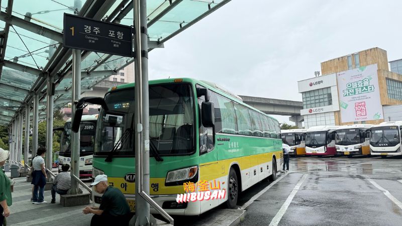 釜山慶州交通攻略