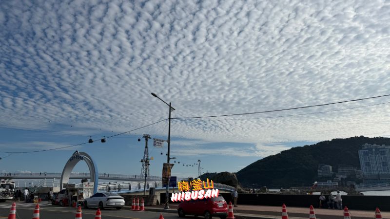 海底貝殼王國 바닷속조개왕국