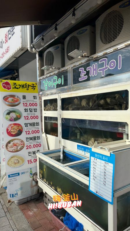 海底貝殼王國 바닷속조개왕국