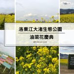 釜山油菜花慶典